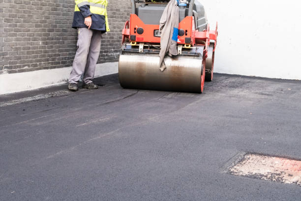 Best Driveway Snow Removal Preparation  in Agler Estates, FL